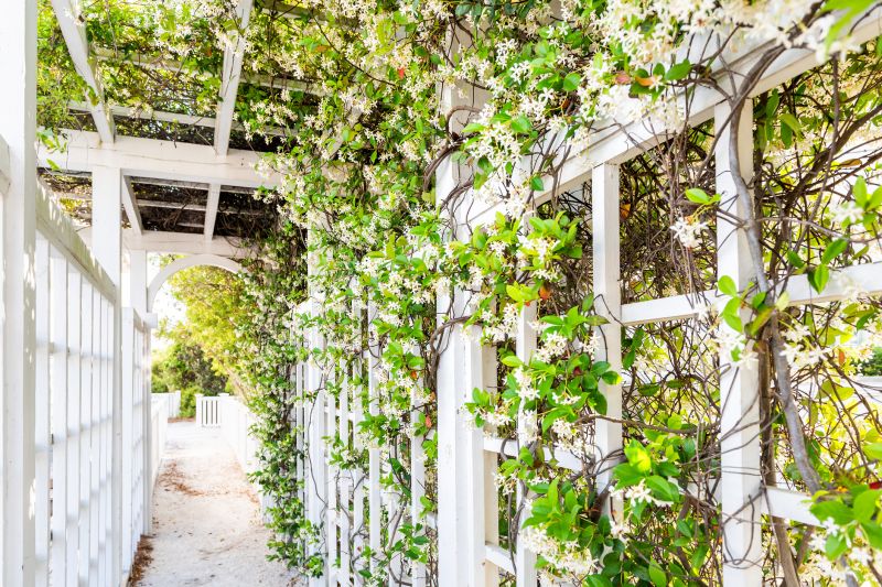 Landscape Trellis Installation Service